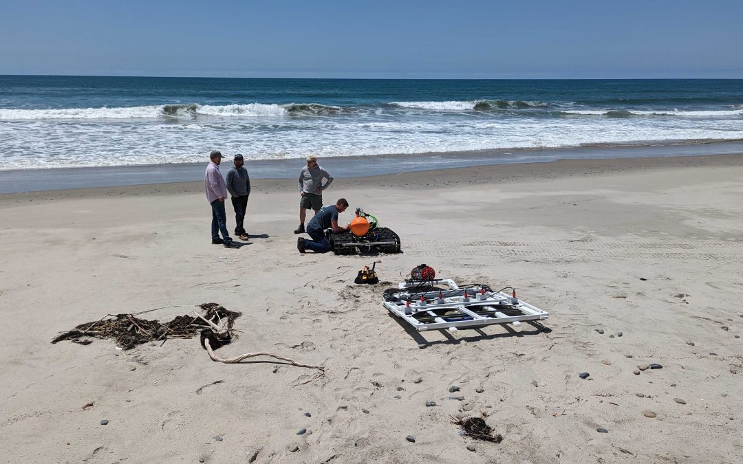 Greensea Systems’ drone tech passes beach UXO test