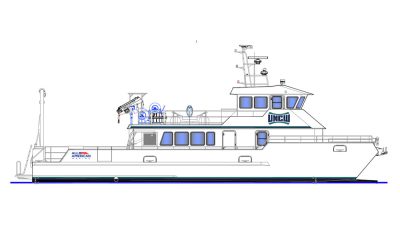 Foiling research cat on order for North Carolina