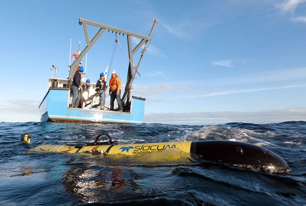 Sentinel Redwing embarks on autonomous round-the-world trip