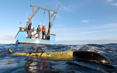 Sentinel Redwing embarks on autonomous round-the-world trip